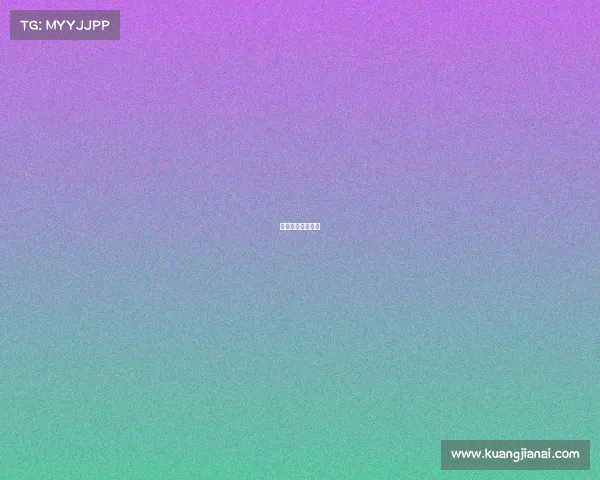 日本综合格斗赛事