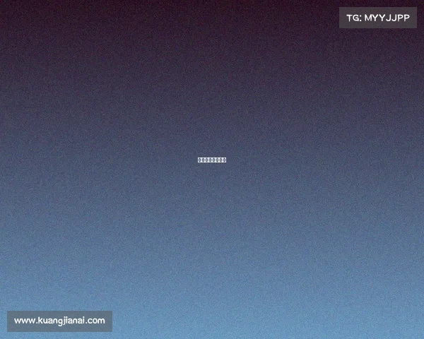 赛事运营包括什么